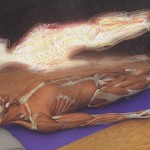 IMG_0001