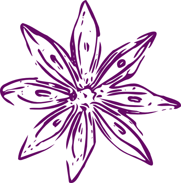 purple-outline-flower-hi