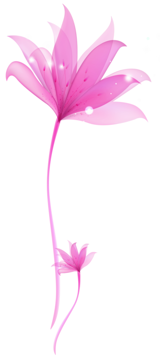 Decorative_Pink_Flower_PNG_Transparent_Ornament